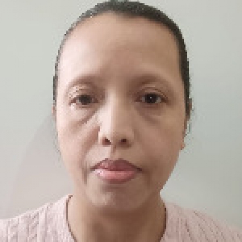 陽光女傭